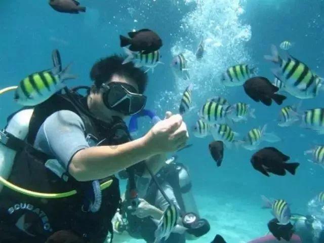春暖海南 你什么时候到?80余场旅文体活动等你来品尝“海岛年味”